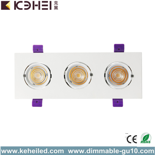 3000K LED Trunk Downlight with Three lamps 3*12W