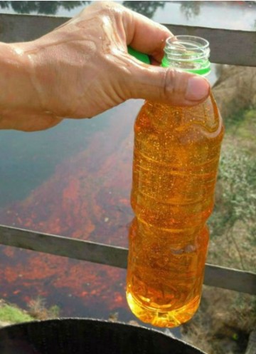 Used Cooking Oil/Waste Vegetable Oil for Biofuel