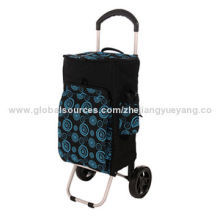 Supermarket shopping trolley