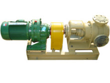 Nyp High Viscosity Paint Gear Pump