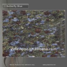 Butterfly Blue