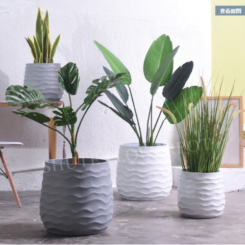 Pequeña planta blanca decorativa interior Potes interiores