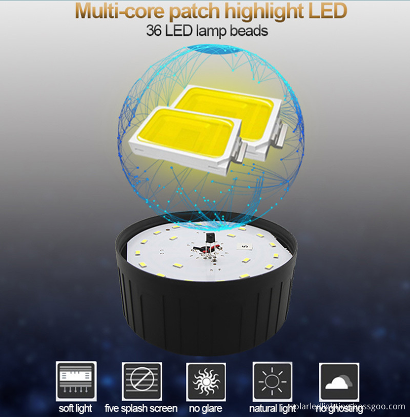 LED Portable Light