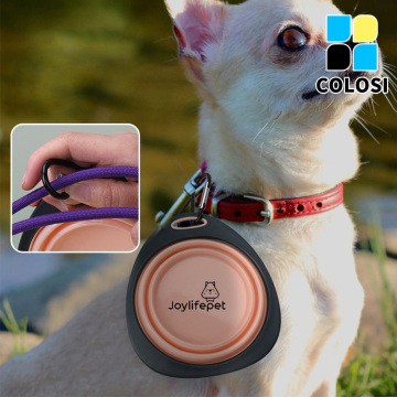 Foldable pet water feeder