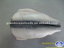 seafood frozen fresh herring fillet IQF