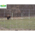 Glavanized PVC Coated Field Fence Deer Farm Fence