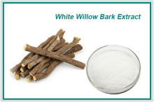 White Willow Bark Extract Powder CAS 138-52-3