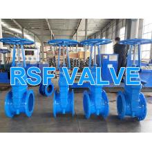 OS&Y rising stem resilient seat gate valve