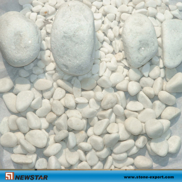 Newstar Snow White Pebble