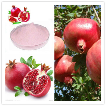 100% Natural Spray Dried Pomegranate Fruit Powder