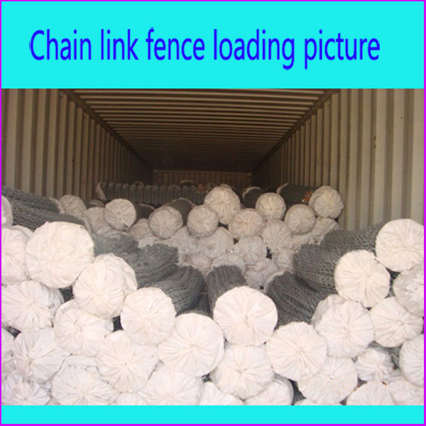 Diamond Iron Wire Mesh roll