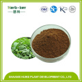 EUCOMMIA BARK EXTRACT 10% CHLOROGENIC ACID