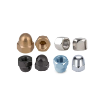 DIN1587 Stainless Steel 304 Hex Cap Dome Nuts