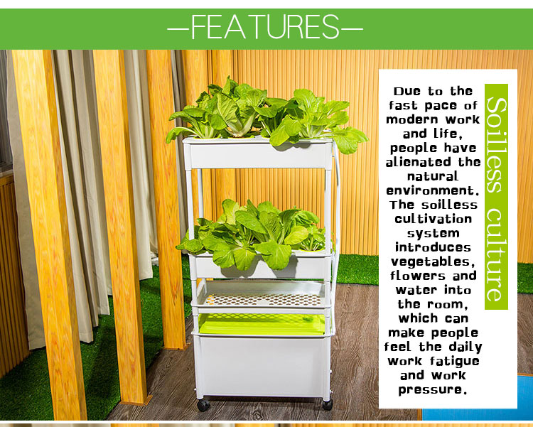 hydroponic system (10)