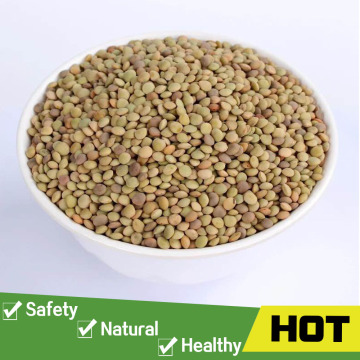 Good import green lentil