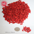 superfoods nature taste Low pesticide Goji Berries