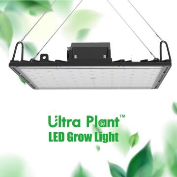 Đèn LED Grow Panel nhẹ 200 công suất