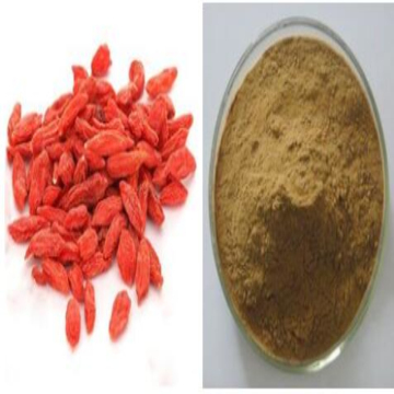 Certified Hot sale Goji spray  powder