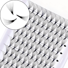 PBT Korea Fiber 5D Premade Fan Volume Lash Extensions