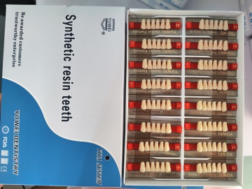 Dental Acrylic Teeth Synthetic Artificial Resin Teeth