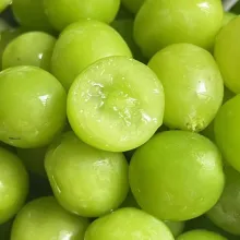Premium Shine Muscat Grapes for Fresh Consumption