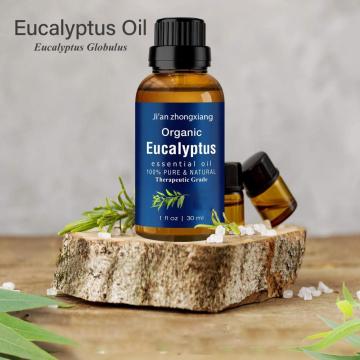 Etiqueta privada orgánica 100% aceite esencial de eucalipto de extracción de vapor natural puro para productos para el cuidado de la salud precio a granel 10 ml