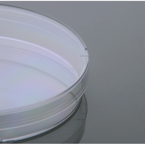 Cawan Petri 35mm yang tidak diolah