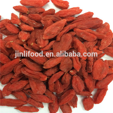 goji berry wolf berry ningxia origin pure goji berry