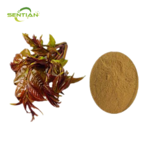 Chinese Toon Extract Toona Sinensis Leaf Extract