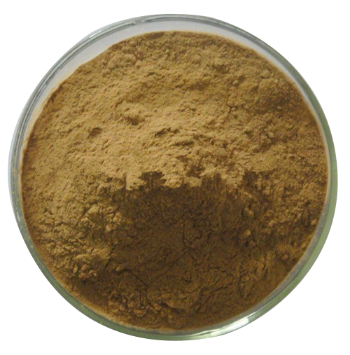 Gandoerma Reishi Spore Extract Powder