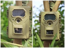 Hidden Trail Video Camera for Hunting
