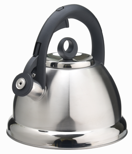 Tfal Whistling Kettle Price