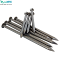 공장 가격 Prego Clavos Common Steel Building Nails 건축 용 철사선 손톱