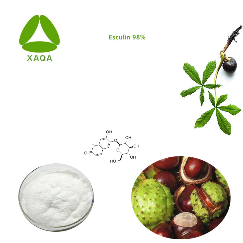 Horse Chestnut Extract