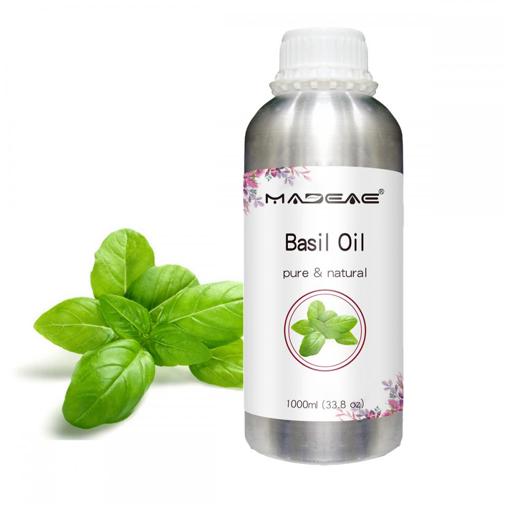 Minyak Basil Murni Ocimum Basilium Esensial Minyak Esensial Jumlah Minyak Basil Murni