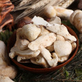 Matsutake au tricholome sauvage congelé Detan