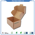 Custom Kraft Folding Carton Box Packaging