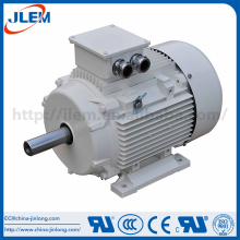 IE ac commercial three phase motors