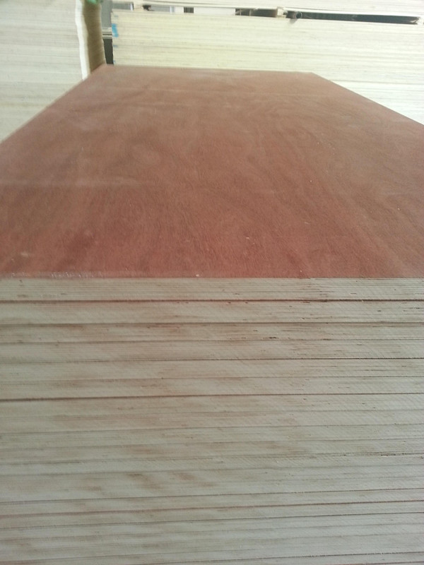 Furniture Plywood/Melamine Faced Plywood