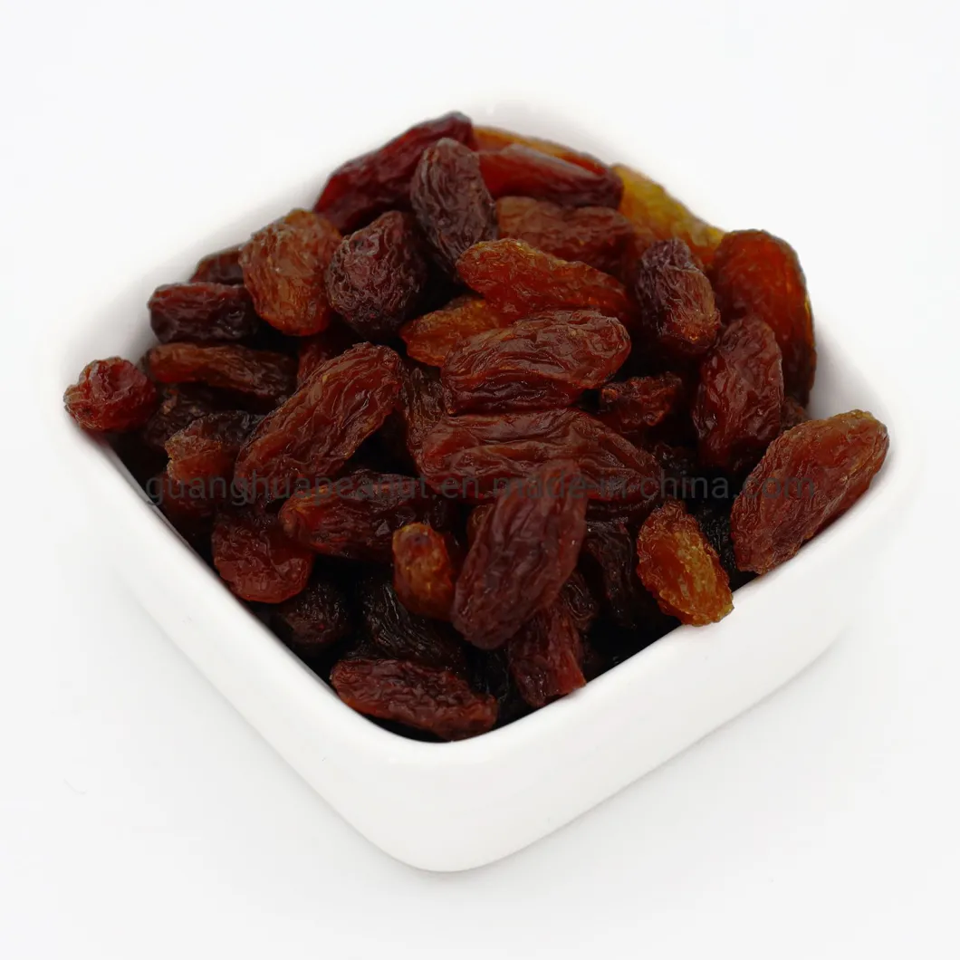 Best Taste Sweet Golden Raisins in Hot Selling