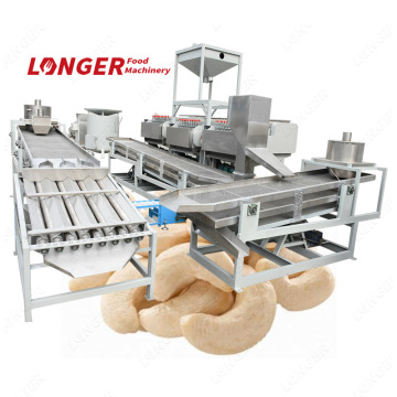 Cashew Nut Processing Machines & Equipment