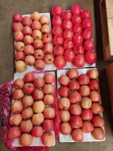 super quality orchard apples