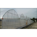 Agriculture Multi Span Film Greenhouse