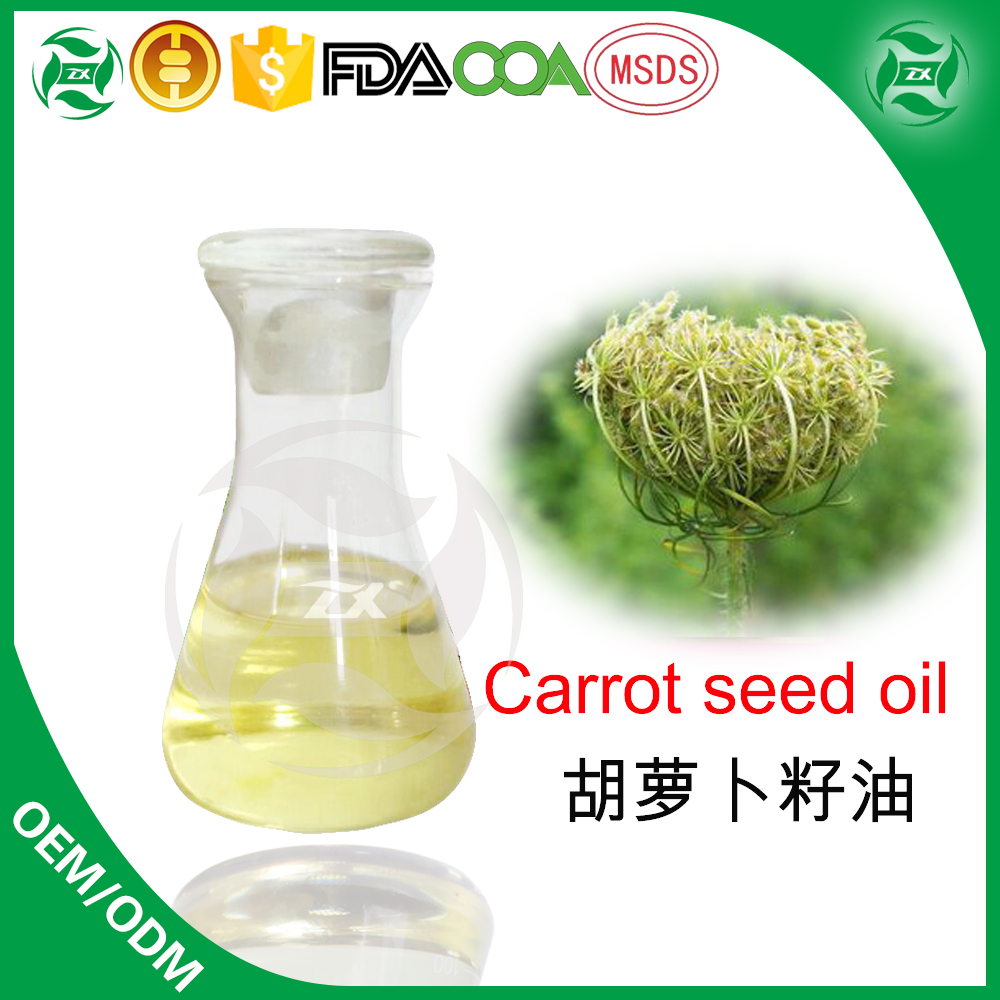 CARROT SEED OIL 100 % 천연 냉간 압착