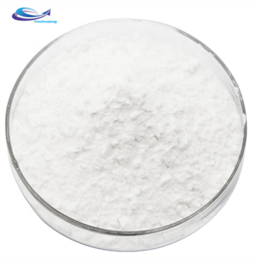 Oyster Product Oyster Powder Oyster Extract Powder