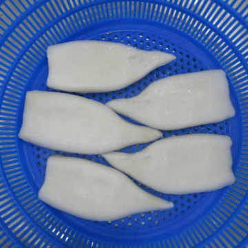 Frozen Giant Dosidicus Gigas Squid Tubes