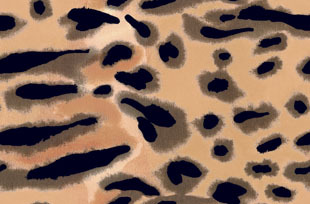 Silk Available Pirnt Artwork 38