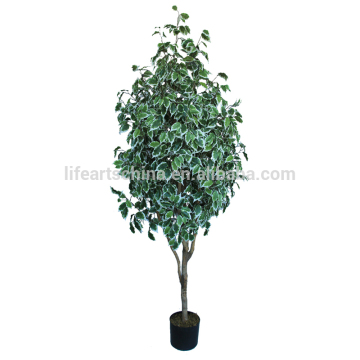 artificial ficus tree, 210cm , in varigated color, outdoor tree
