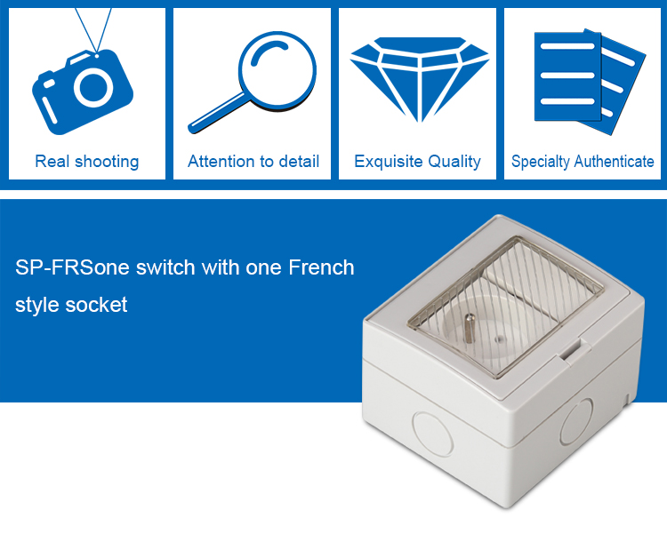 SAIPWELL/SAIP French Style IP55 Electrical Wall Mounting Waterproof Switch Socket(SP-FRS)