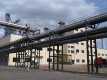 Soybean Protein Isolate Production Line